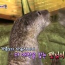 햇님농장 이미지