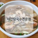 태안칼국수전문점 | 태안 버스 터미널 맛집 &#39;태안 칼국수 전문점&#39; 내돈내산 후기