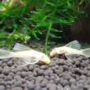 비즈아쿠아수족관 이미지