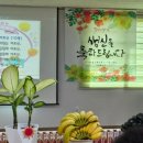 밸리댄스 주간 이미지