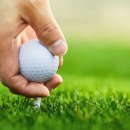 MGA 골프 이미지