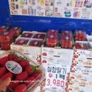 (주)365식자재 할인마트 | 상계동 식자재 마트 추천｜새로나 마트 (feat. 내 돈 내산)