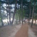 서변근린공원 이미지