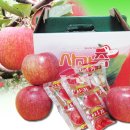 풀잎농장 이미지