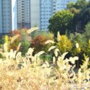 오성춘천닭갈비 이미지