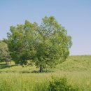 선학역 1번출구 이미지