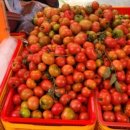 금단장여관 이미지