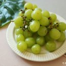 상큼달콤농산