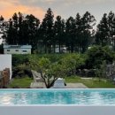 사라보카 48 이미지