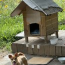 짐 크레커 송정점 이미지