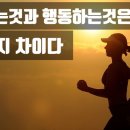 고 베어 짐 이미지