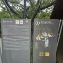 집성당 | 풍향중 보고 다녀온 아산 공세리성당 방문 후기