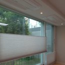 국화우성 이미지