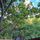 광진빌딩 이미지