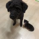 유안나미용실