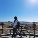 국토종주자전거길1-234 이미지