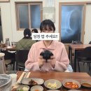 제성하우스 | 그 외 제주 1-2일차 (귤주택, 본날, 제주따이 솔직후기) | 제주(3)