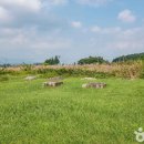 [경상북도 경주시] 경주 망덕사지