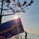 포항운하송림시장 | [포항.경주.부산]1박2일 포항 호미곶,죽도시장,포항운하경주 황리단길,부산깡통시장