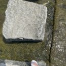 내서읍443 | 5월의 기록 ,