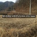 성주전원주택지 포천계곡 250평+하천부지900평 [성주토지03]성주부동산 경북땅 이미지