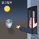 2025년02월07일금요일오늘의 포토 뉴스 시사 만평 떡메 이미지