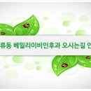 베일리이비인후과 네이버블로그