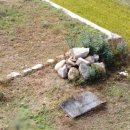 돌무덤농장 이미지