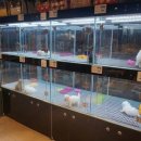 멍클레어 이미지