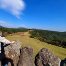 스테이비갠오후 이미지