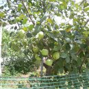 상촌 체육공원 이미지