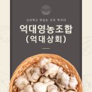 영농상회 이미지