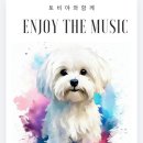 토비야와함께 Enjoy The Music (종합 20시 - 22시) 이미지