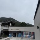 남도의 향기 | 🌿 남도의 수묵, 그리고 진도의 고요함