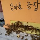 삼마농장 이미지