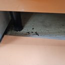 만수경로당 | 바퀴벌레 서식지 부평방역업체 퇴치 후기