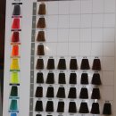 아띠랑스 헤어 이미지