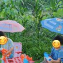 오세창농장 이미지