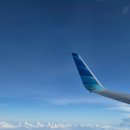 762 | 5 발리] 아시아나 자카르타 비즈니스 OZ 762 (CGK - ICN) 후기! (feat. 발리-자카르타 가루다항공 GA411)