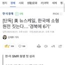 [단독] 美 뉴스케일, 한국에 소형원전 짓는다…'경북에 6기' 이미지