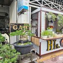 초록나무약국 이미지