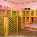 마오네(1호점) 이미지