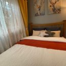 그리는제주in레이지마마 이미지