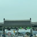 경주여행 DAY1. 분황사청보리밭 첨성대 황리단길 월정교 안압지(동궁과 월지) 야경