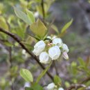 고유시차 이미지