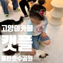 (주)라이코스펫 | 동탄호수공원 고양이카페 동탄 캣플