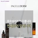 인셀덤클라쓰 이미지