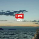 완도1호 이미지