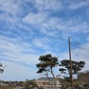 블랙스톤 스크린골프 | 블랙스톤 벨포레 CC 겨울골프 후기