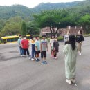 삼기초등학교 이미지